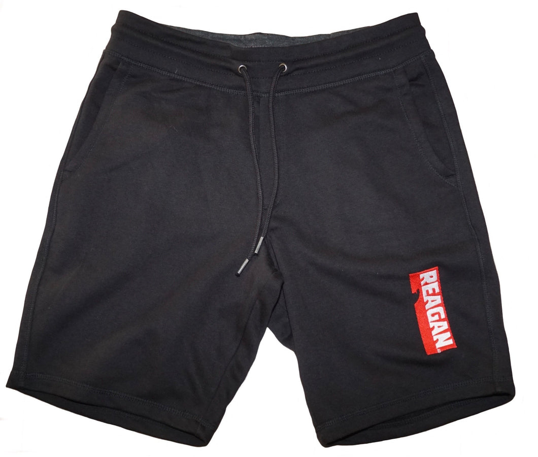 Men's shorts Reagan © Legend